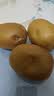 佳沛（zespri）新西兰金奇异果10粒巨大果146-175g猕猴桃水果礼盒 实拍图