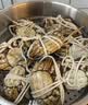 【活蟹】阳澄联合鲜活大闸蟹现货全母2.3-2.6两 6只生鲜螃蟹精品礼品盒 实拍图