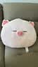 名创优品（MINISO）小猪B-BO抱枕毛绒大号公仔沙发靠枕靠垫床上伴睡办公室学生宿舍 实拍图