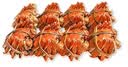 【活蟹】阳澄联合鲜活大闸蟹现货全母蟹 3.0-3.3两 10只生鲜螃蟹精品礼品盒 晒单实拍图