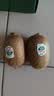 佳沛（zespri）绿奇异果经典果6粒 单果约89-103g   水果猕猴桃  源头直发 实拍图