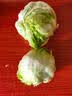 球生菜400g 实拍图