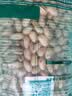 三只松鼠开心果250g/袋 无漂白每日坚果炒货休闲零食地方特产团购 实拍图