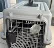 腆宠宠物航空箱小号 猫咪航空箱猫狗 猫包猫笼外出车载猫箱狗狗托运 实拍图