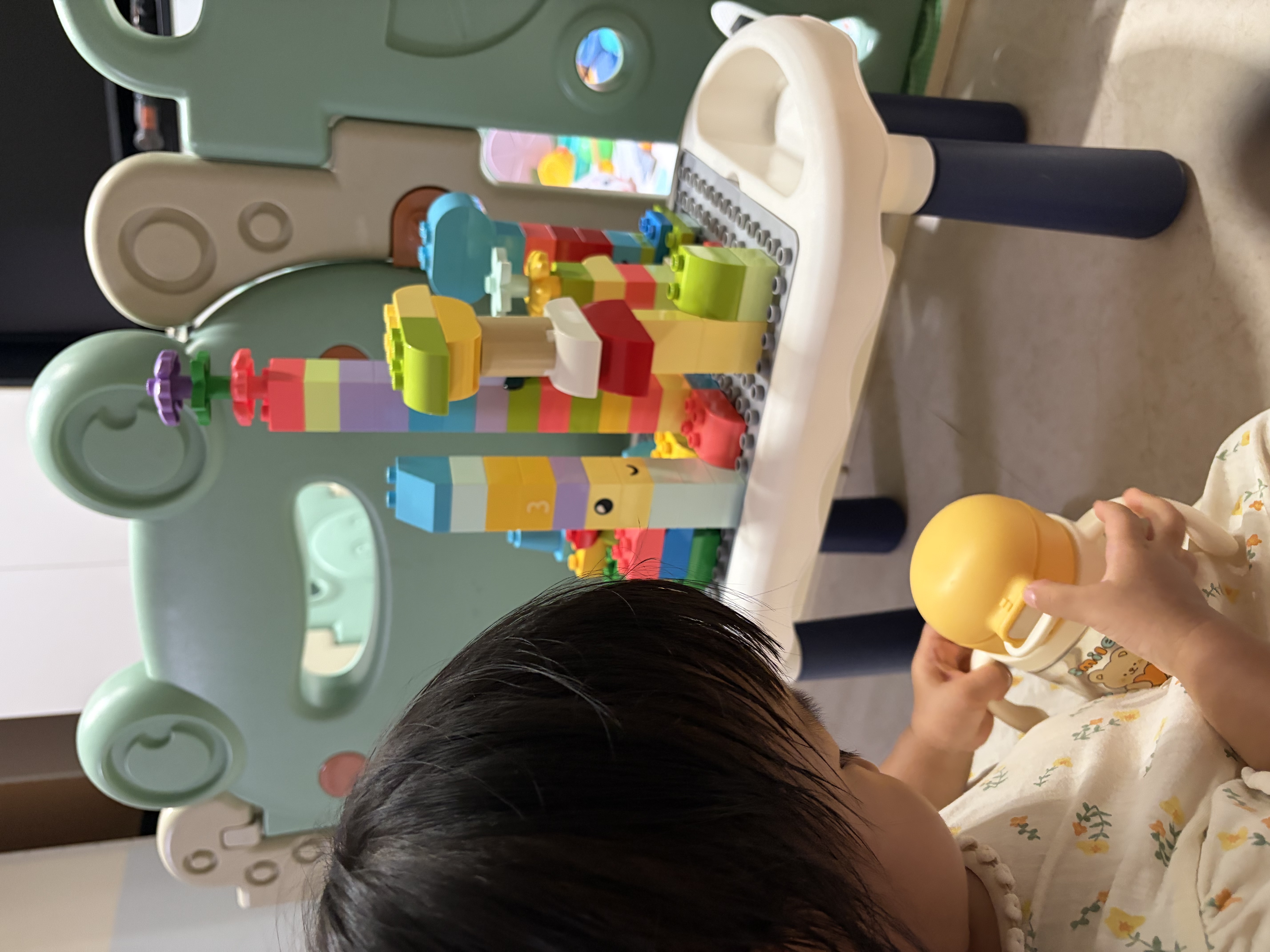 乐高（LEGO）积木得宝10479 创意积木盒男女孩儿童玩具生日礼物大颗粒 实拍图