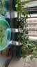 奥美优加仑盆花盆树脂透气防烂根塑料种植盆栽盆带托盘一体家用加厚 实拍图