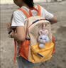 SHUKIKU儿童书包幼儿园背包防丢失轻便防泼水大容量户外旅游橘子汽水S+码 实拍图