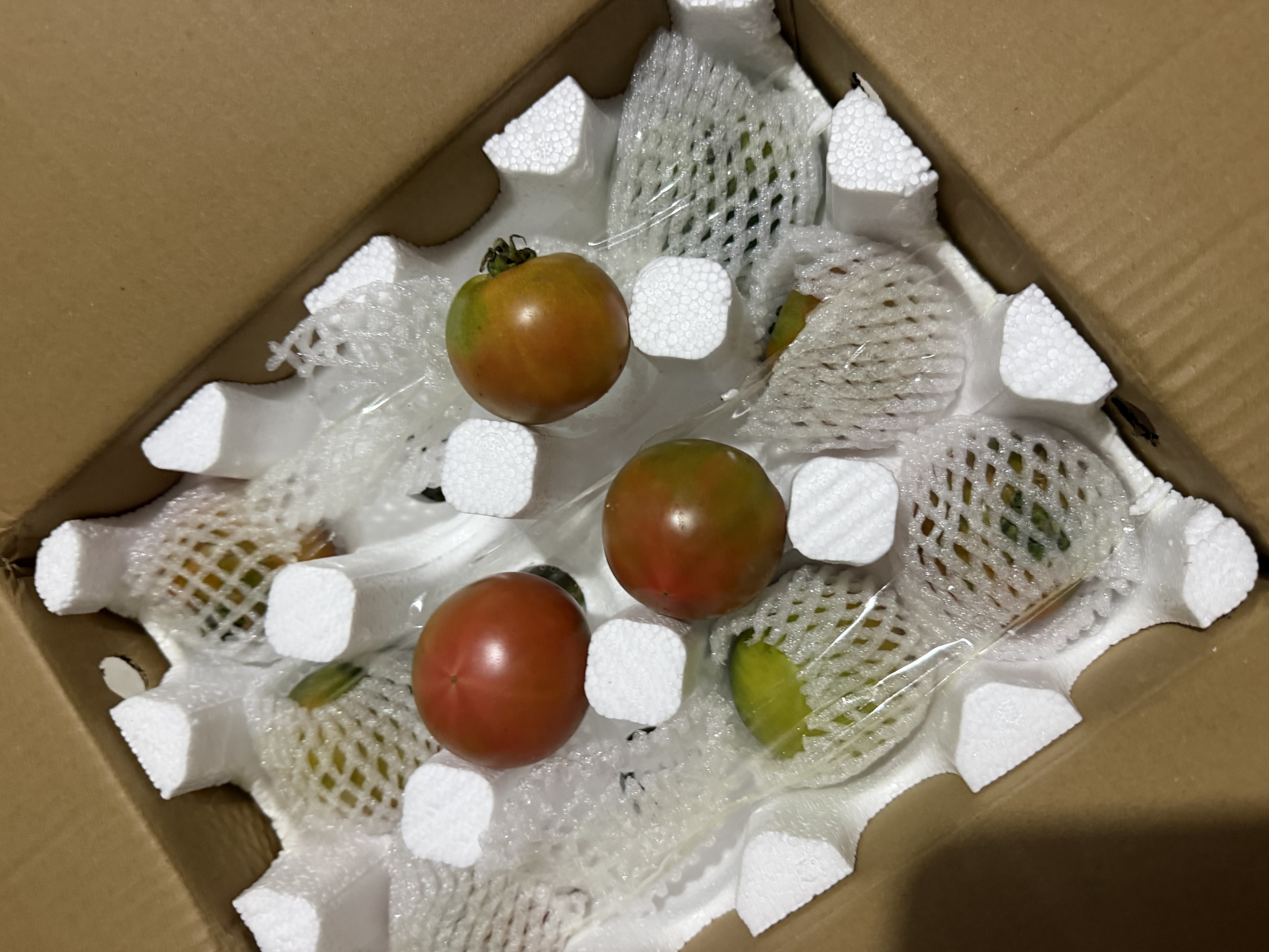 京地达山东铁皮草莓西红柿 净重4斤  水果番茄蔬菜源头直发包邮 实拍图