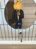 京东京造冲锋衣男女同款秋季新款防水夹克外套户外硬壳 曜石黑 XL 实拍图