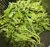 有机蒿子秆300g       实拍图