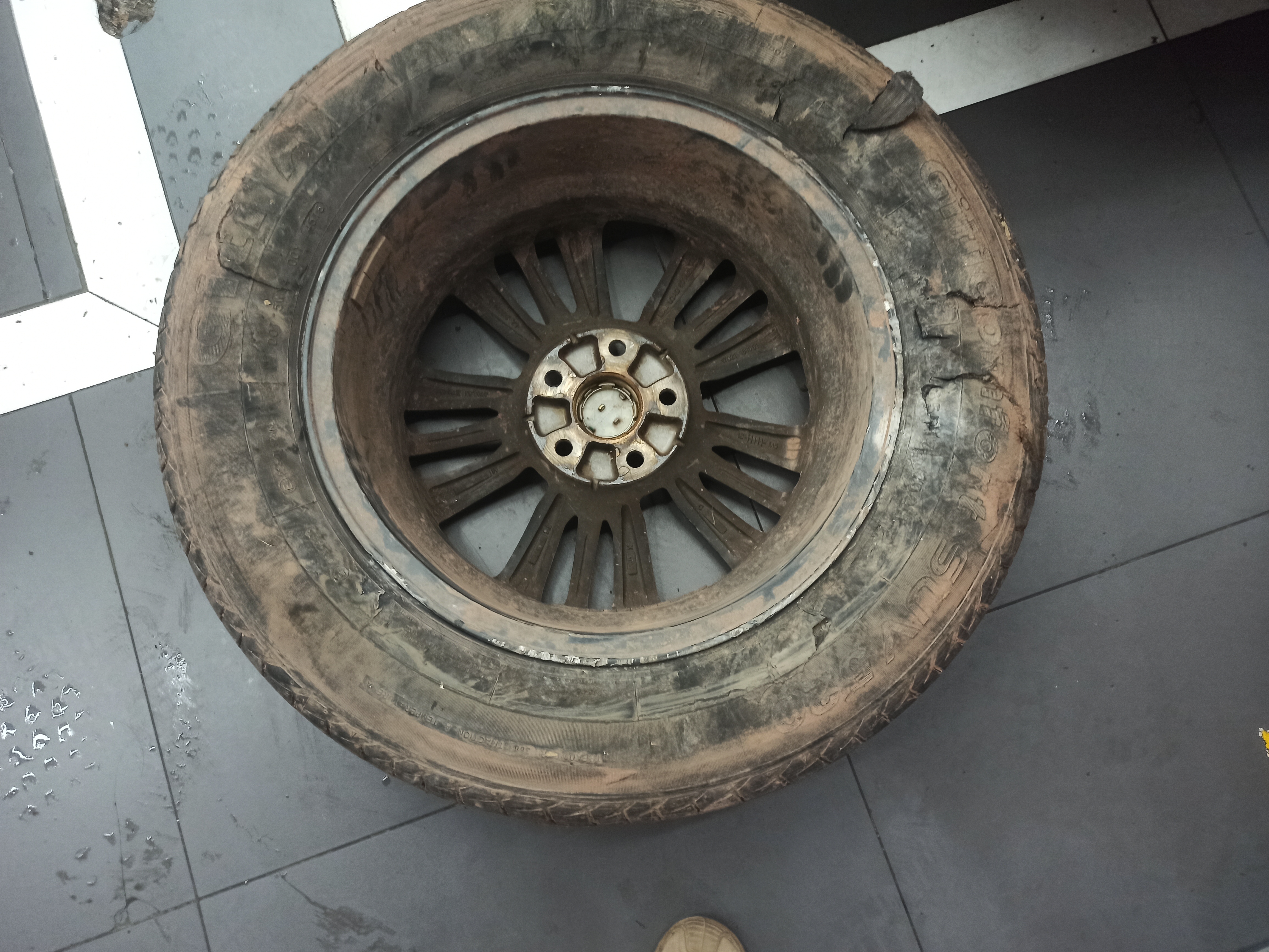 玲珑轮胎汽车轮胎225/65R17 102H 玲珑臻选 SD 适配哈弗H6/奇骏/长安CS75 实拍图