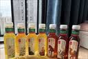 农夫山泉东方树叶乌龙茶500ml*15瓶无糖茶饮料0糖0脂0卡整箱装饮品 实拍图