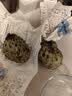 京鲜生云南牛奶释迦果番荔枝净重4斤装单果250g+生鲜水果源头直发包邮 实拍图