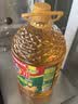 多力经典压榨玉米油5L 非转基因家用食用油 实拍图
