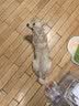 耐吉斯鲜肉Pro夹心冻干狗粮12kg成犬益生菌鸭肉梨泪痕管理 实拍图
