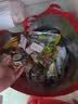 乡巴佬卤蛋无抗鸡蛋高蛋白质老卤味即食休闲零食独立小包装30g*15枚袋装 实拍图