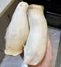 杏鲍菇约250g 实拍图