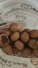 三只松鼠量贩袋装草本味纸皮核桃500g 每日坚果炒货休闲零食品 实拍图