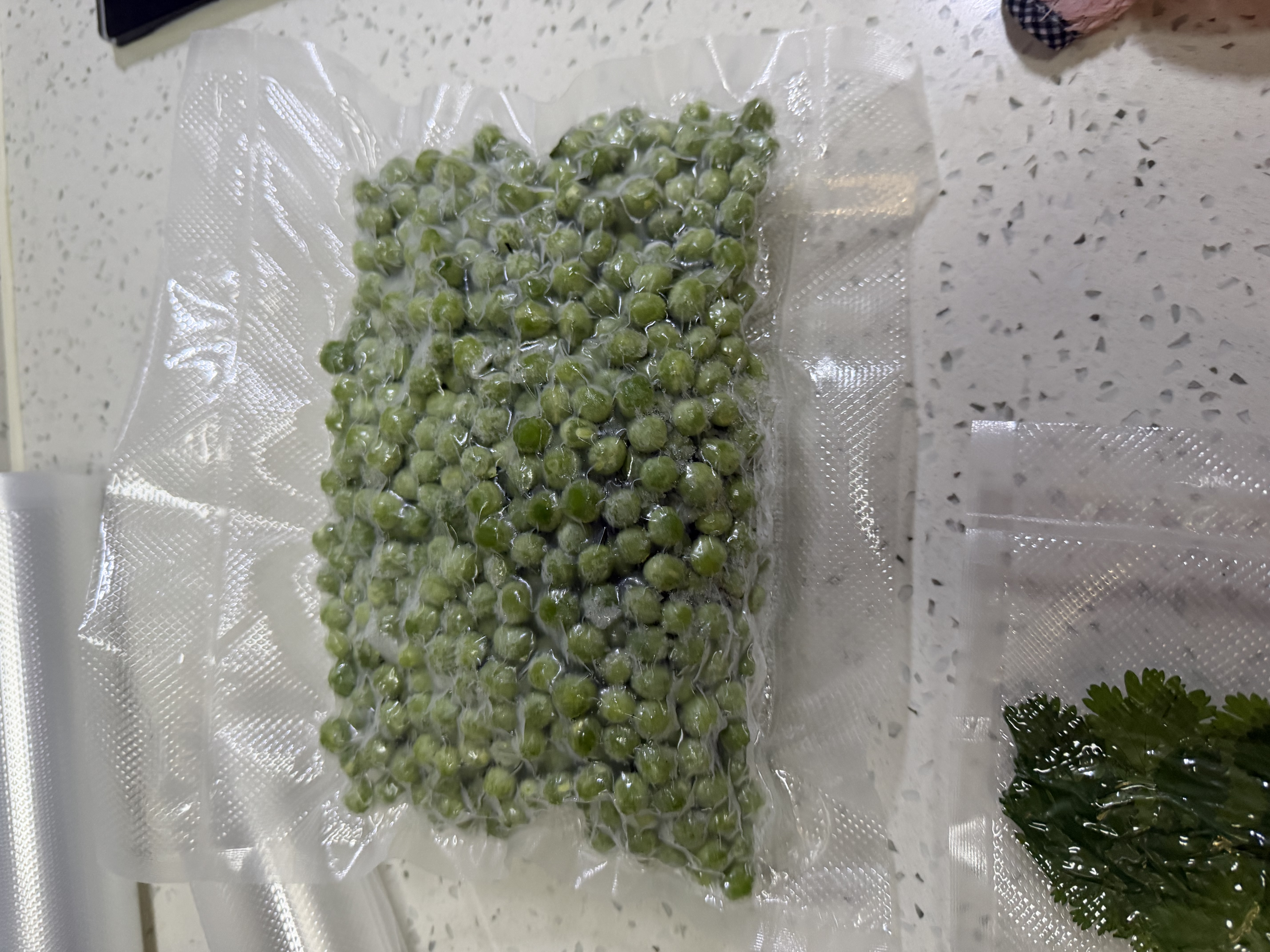 佳帮手全自动真空封口机小型家用塑封一体食品袋抽空机包装机真空机商用 实拍图