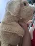 艾惟诺（Aveeno）婴幼儿每日倍护润肤乳0岁+身体乳宝宝面霜舒缓干痒保湿乳液227g 实拍图
