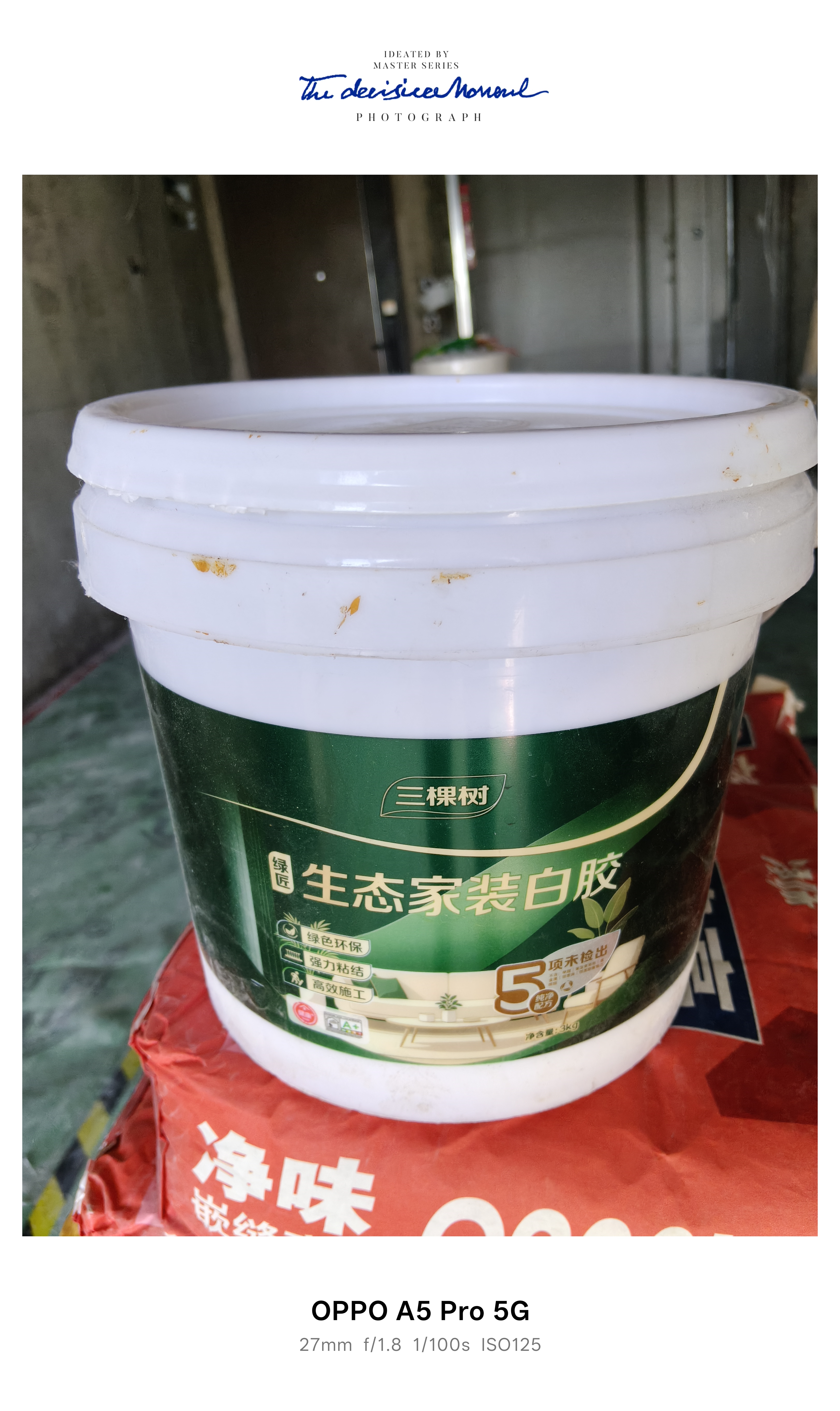 三棵树漆（SKSHU） 三棵树生态白胶水性健康白乳胶强力胶高粘力板材家具木工手工 环保型白胶【净重3kg】+刷子 实拍图