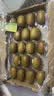 佳沛（zespri）新西兰金奇异果18粒超大原箱175-204g猕猴桃水果礼盒 实拍图