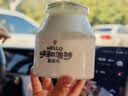 完达山家庭装纯牛奶1L*12盒 3.2g蛋白 大容量好奶源家庭早餐 实拍图
