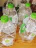 屈臣氏蒸馏水纯净水4.5L*4桶整箱大桶装水饮用水家庭装泡茶煲汤 实拍图