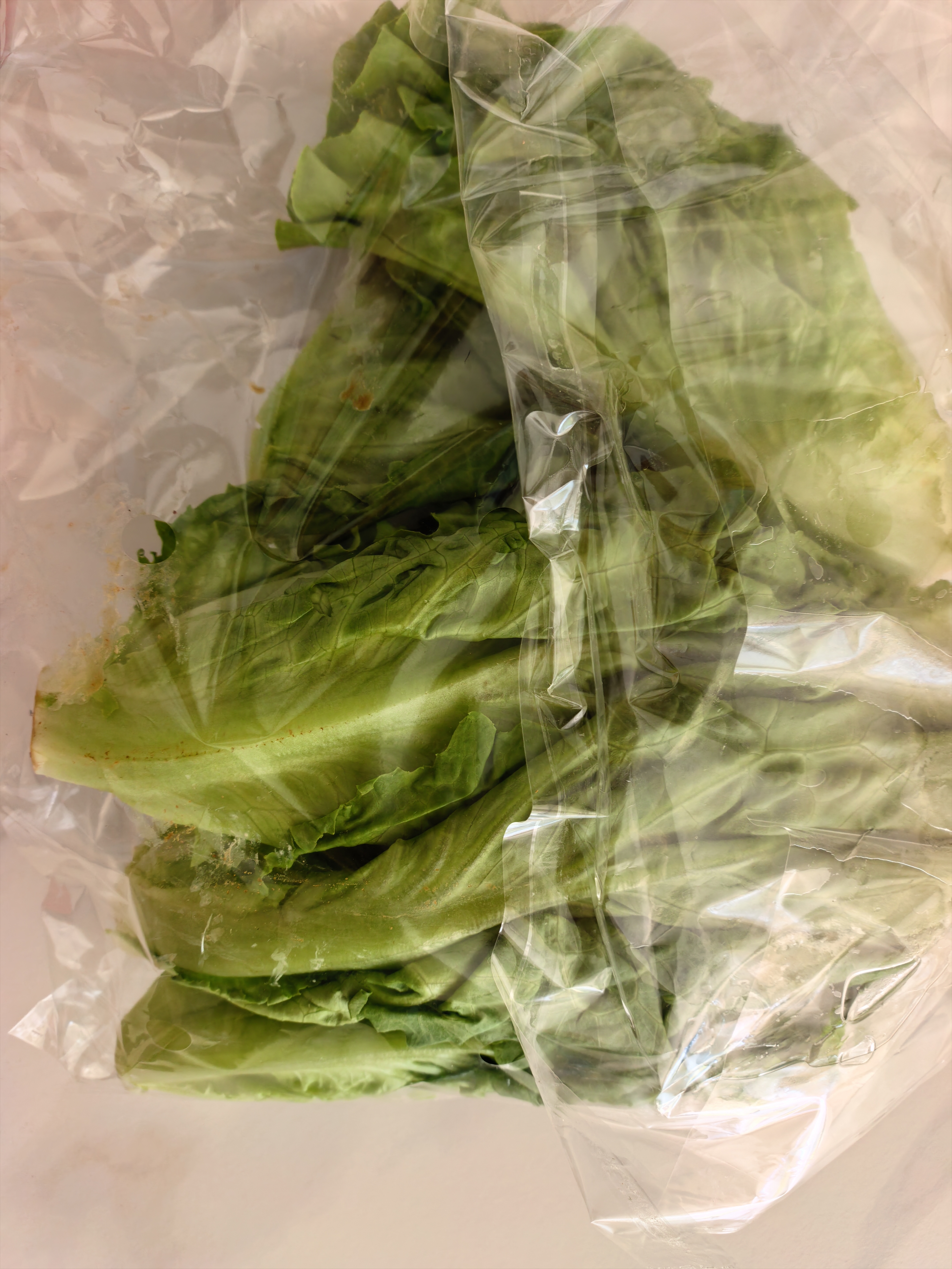 【烧烤季】钟灵山罗马生菜400g 实拍图