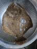 鲜活大多宝鱼600-800g/条 中秋送礼家宴宴请 实拍图