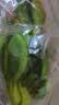 上海青约500g(油菜) 实拍图