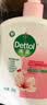 滴露（Dettol）洗手液补充装大桶消毒滋润5L 儿童家庭装杀菌护手 实拍图