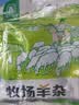 草原汇香 牧场羊杂原味250g*3袋熟食羊杂汤羊杂碎开袋即食内蒙特产 实拍图