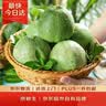 京鲜生 绿宝香瓜甜瓜  净重3斤起 3-6粒装 生鲜水果 实拍图