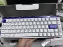 MelGeek小蜜蜂MADE68PRO+磁轴键盘 电竞游戏客制化机械键盘无畏契约TTC万磁王轴礼物送男女友办公蜜氪 MADE68Pro+紫光【万磁王PRO轴】 实拍图