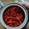杞里香红枸杞子特优级大果枸杞500g新货宁夏中头茬免洗枸杞茶构苟杞泡茶 实拍图