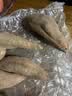 佳农河南哈密白薯果100g+冰糖白心红薯净重4.5斤白哈密地瓜源头直发 实拍图