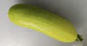 【京东配送】山东新鲜西葫芦角瓜农家自种三月瓜茭瓜现摘现发 净重 5.7斤 带箱6斤 实拍图