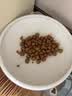 皇家猫粮 布偶成猫粮 RA32 通用粮 12月以上 2KG【宠物金选】 实拍图