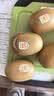 佳沛（zespri）新西兰金奇异果22粒巨大原箱146-175g猕猴桃水果礼盒 实拍图