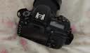 尼康（Nikon）D7500 【国家补贴】 单反相机 入门级 约2,088万有效像素 51点自动对焦系统 实拍图