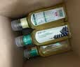 农夫山泉东方树叶陈皮白茶500ml*15瓶无糖茶饮料0糖0脂0卡整箱 实拍图