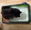 pidan混合豆腐猫砂 豆腐膨润土皮蛋猫砂除臭猫砂结团快 经典款2.4kg*4 实拍图