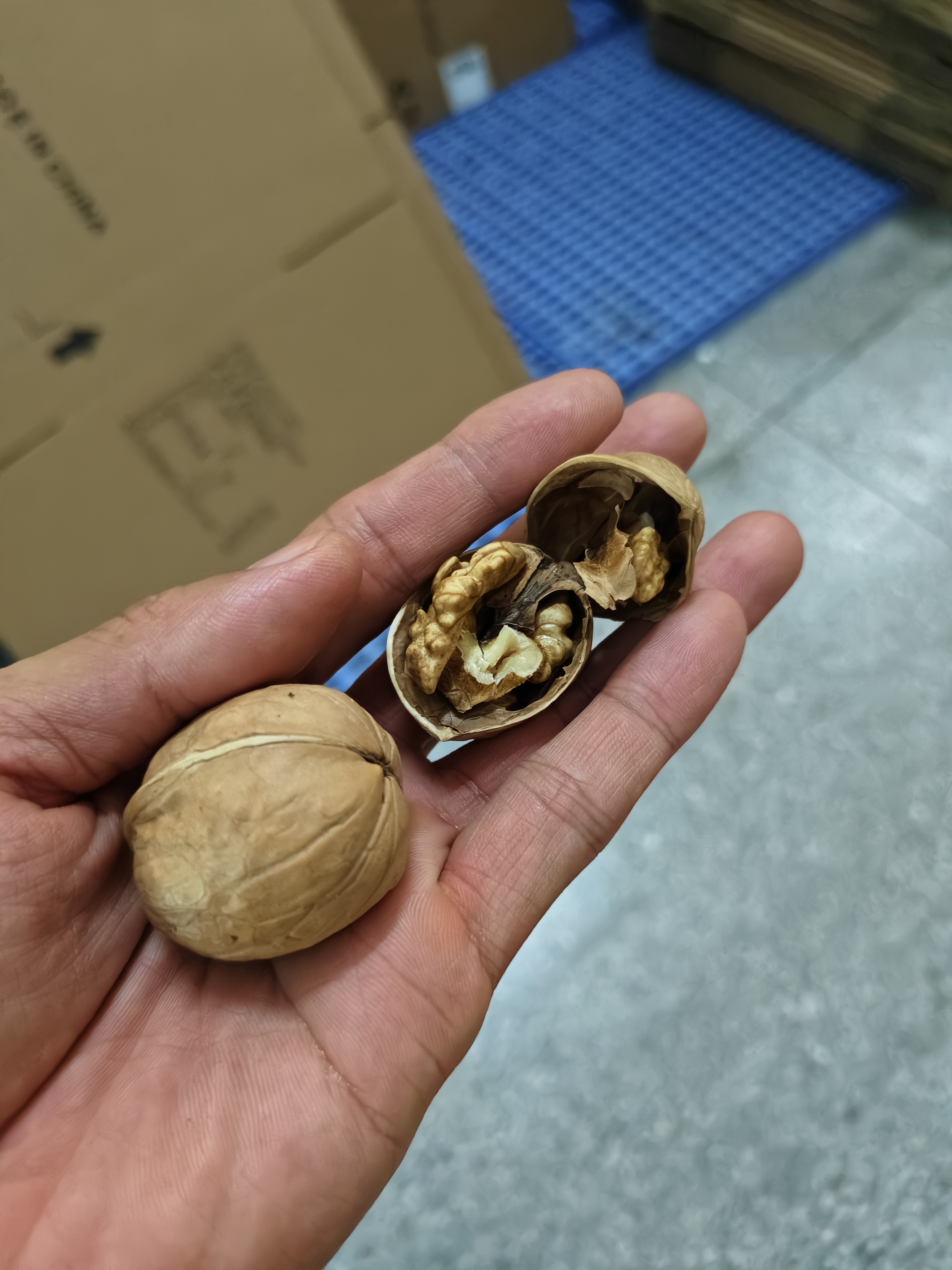 楼兰蜜语【新货】高品质阿克苏年新薄皮核桃5斤原味送礼礼盒特产坚果零食 实拍图