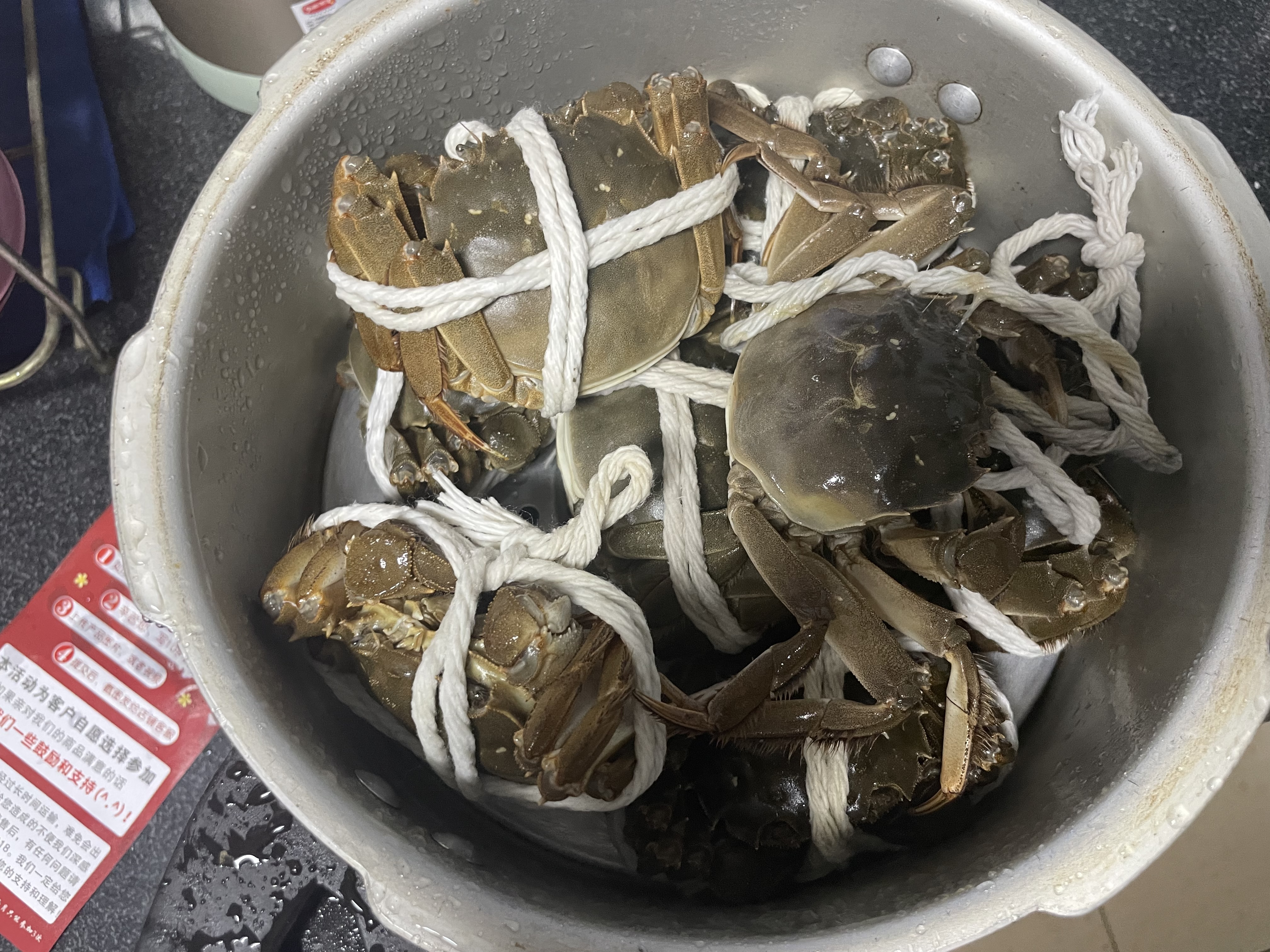 【活蟹】漁家师傅大闸蟹全母3-3.3两8只固城湖螃蟹去绳足重鲜活现货生鲜礼盒金秋送礼 实拍图