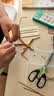 得力（deli）竹节人学具小学生六年级上册教材同步双人游戏玩具手工亲子教具科学小实验开学文具生日礼物男女孩 实拍图
