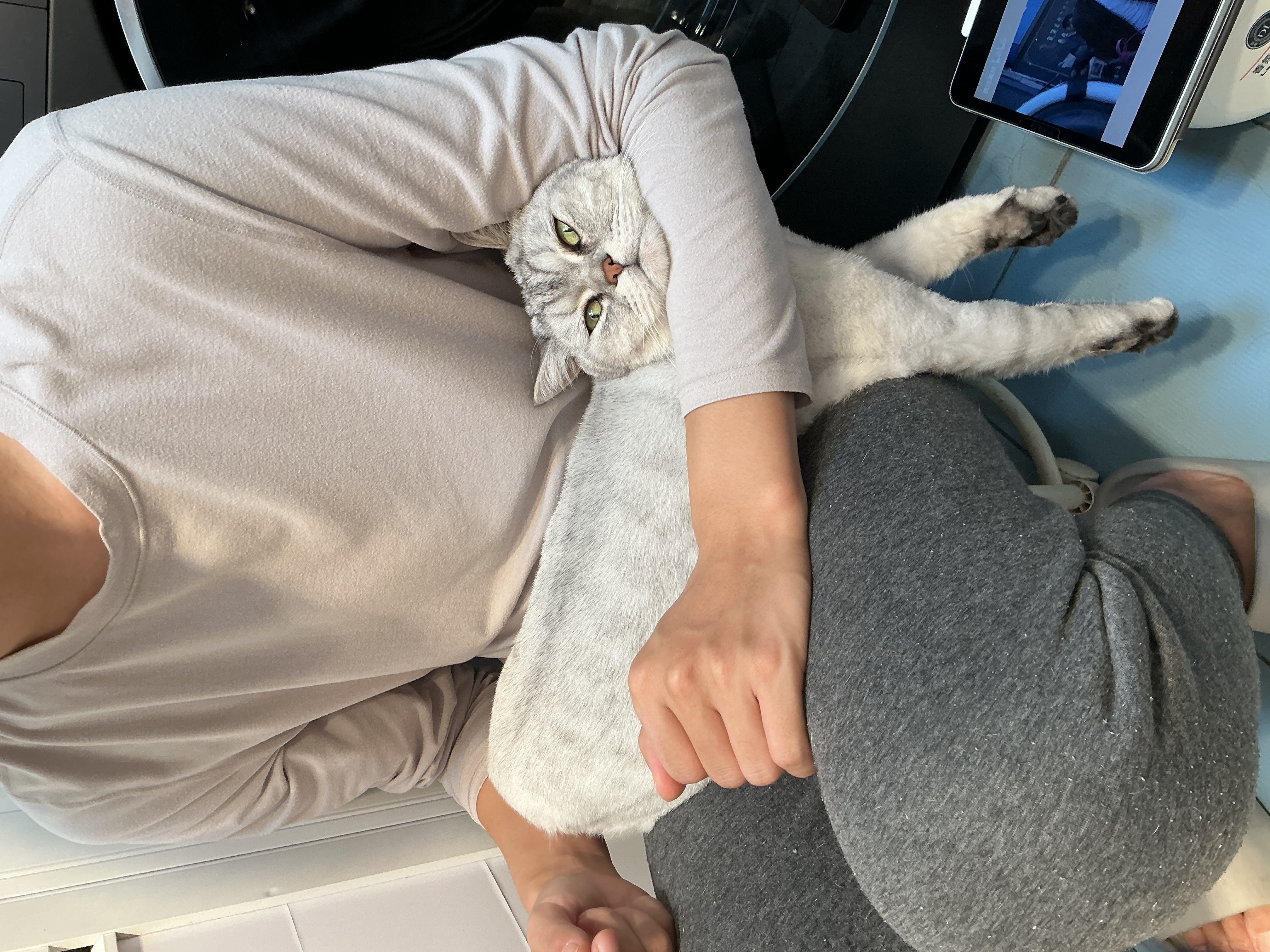 名创优品（MINISO）猫砂木薯豆腐混合猫砂强效除臭20斤京东自营送货上门4斤*5包 实拍图