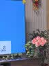 京东鲜花玫瑰10枝随机色基地源头直发 实拍图
