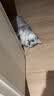普安特宠物猫咪洗耳液耳螨狗狗滴耳液猫耳朵清洁耳垢臭痒漂护理液尔加分 实拍图