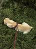 皇家狗粮 幼犬狗粮 幼犬奶糕 宠物大型犬MAJ30全价犬粮2-15月15KG 实拍图